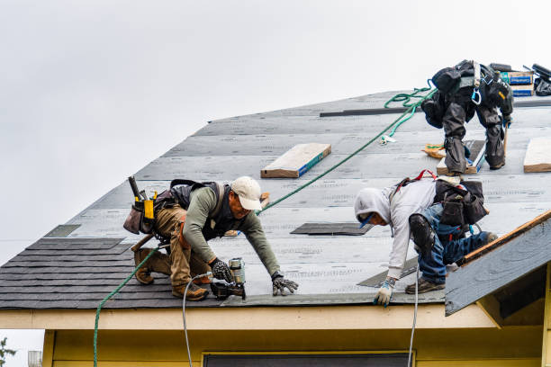 Professional Roofing technician working in Albany, IN
